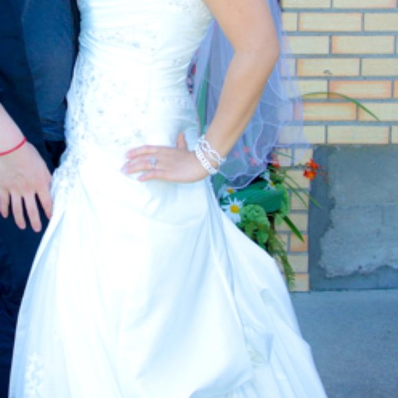 La Sposa Wedding Dress - Picture 5 of 10